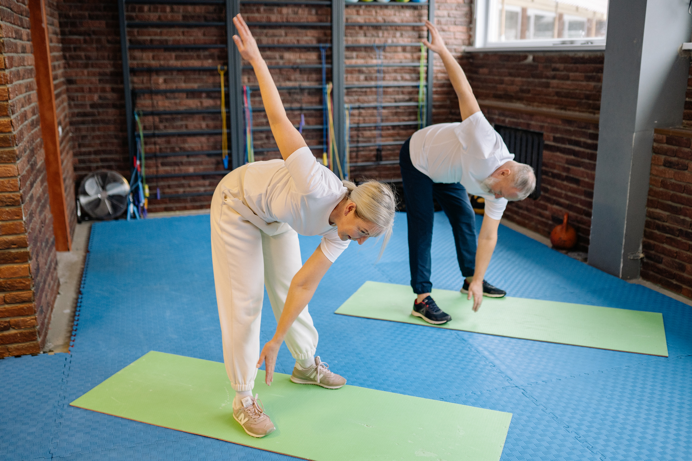 Elderly People Exercising